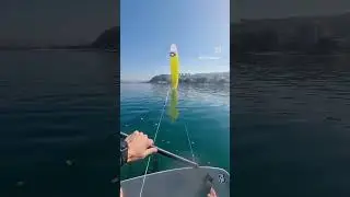 No wind kitefoiling 🤔🫣😝 #kitefoiling #lightwind #perfect