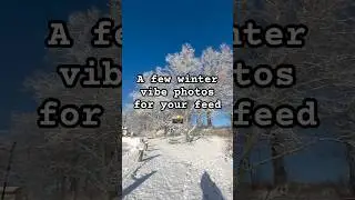Winter photo walk with my cheap point and shoot camera 📸
