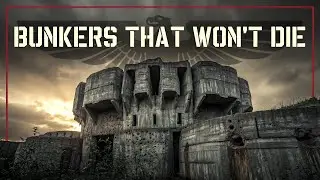 Bombed for 80 Years, Still Standing: The Nazi Bunker Mystery Engineers Can't Solve