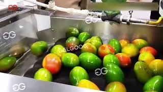 Mango Washing Drying Waxing Processing Line