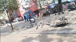 Aaji hela voji saundarpada re 🐓🍗🤪bahut maja masti hela 💯🤟