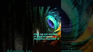 Peacock Feather Healing