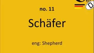SiG | 30 most common German surnames [+PRONUNCIATION]