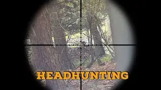 Headhunting