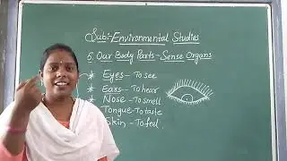 5 Class  EVS: 5. Our Body Parts- Sense Organs Part -2