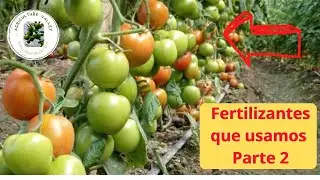 LOS MEJORES FERTILIZANTES parte 2 - Compo Expert