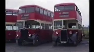 CLASSIC PLYMOUTH BUSES