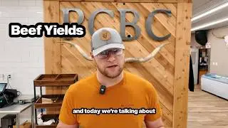 Why a 1,200 lb Cow Doesn’t Yield 1,200 lbs of Beef | Beef Yield Explained