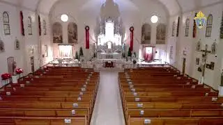 Misa del día