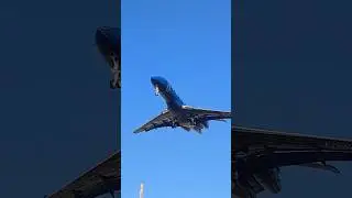 Dark Blue 💙 #airplane #shorts #trending