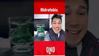 Hidrofobia