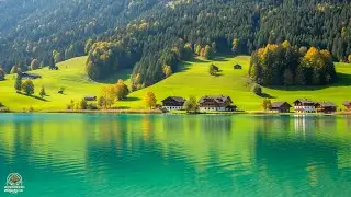 Relaxing Music Relieves Stress, Anxiety and Depression 🌿 Heals the Body and Soul - Deep Sleep Music