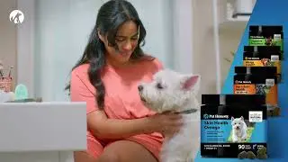 Pet Honesty Skin Health Omega