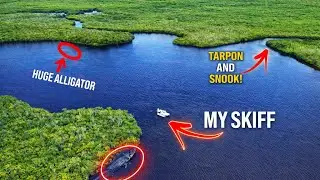 Поиск и рыбалка в скрытых ручьях самого отдаленного городка Флориды! | Чоколоски, Флорида