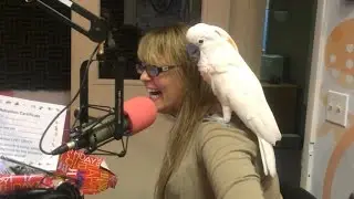 Loren Gets A Bird From Michael Rock