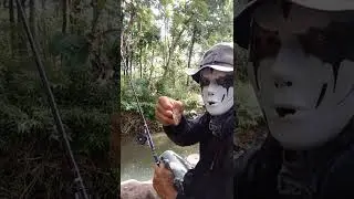 wadER hackER WONOGIRI