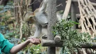 20260120 樂樂 小紅豆😄