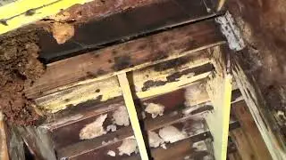 How to Fix Dry Rot Deck/Inspecting Dry Rot Deck Damage/Project Preview