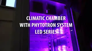 Unleash the potential of climatic chambers with LED lighting photoperiodic systems by POL-EKO