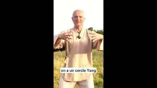 Harmonie, sagesse & Sant&eacute; avec Soie-Zen : D&eacute;couvrez le Qi Gong, M&eacute;ditation et la m&eacute;decine chinoise.
