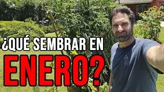 Calendario de Siembra 2026  Que sembrar en ENERO en el Huerto de Verano y de Invierno