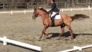 North Wind Horse Farm 10 23 2016