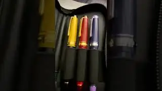 Sailor pens & zippered case
