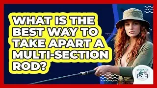 What Is The Best Way To Take Apart A Multi-Section Rod?