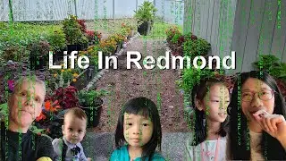 2024 Condo Gardening - Initial Spring Clean Up - March 16th [4k HD] 🌷🌹🌼🌻