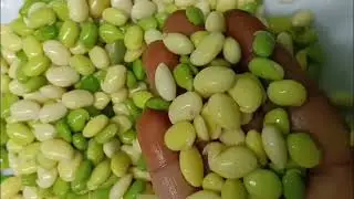🍲North Karnataka style&ldquo;Masaledar Keema Capsicum Hyacinth Beans Gravy 🔥 | Easy & Tasty Recipe&rdquo;