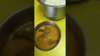 rice fish curry with master seeds karela fry#Mishti doi our lunch menu