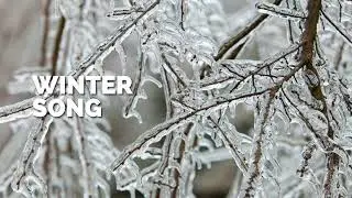 Winter Song | A Reflective Orchestral Piece