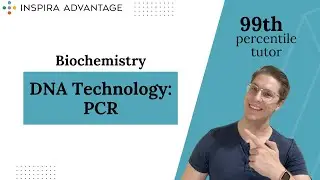 Biochemistry: DNA Technology - PCR | MCAT Crash Course