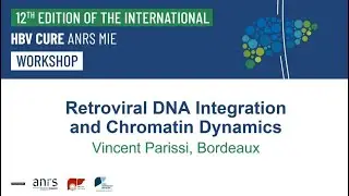 Retroviral DNA Integration and Chromatin Dynamics - Vincent Parissi