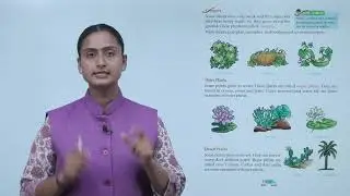 Ch 2 | Goldfinch Publications | Science | Class 2 | Types of Plants | For children