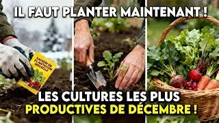 7 cultures &eacute;tonnamment productives que vous devez planter en d&eacute;cembre avant qu'il ne soit trop tard