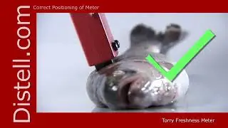 Distell fish freshness meter