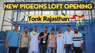 NEW PIGEONS LOFT OPENING Tonk Rajasthan | Loft Tour | Tonk Pigeon Club | Kabeer Khan