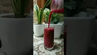 Portable USB Juice Blender Review 2023 | Best Rechargeable Mini Hand Blender for Smoothies and More!