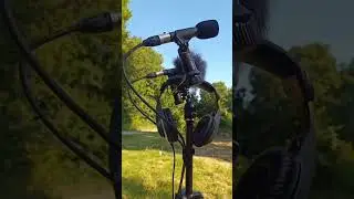 Field recording equipment - Rode M5, Zoom F3 #soundscape