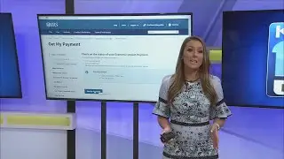 'Get My Payment' Tool Lagging
