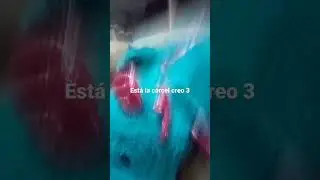 24 de marzo de 2023