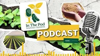 Tax Rules, Deadlines, and Deductions: What&rsquo;s New This Year - In the Pod Soybean Updates