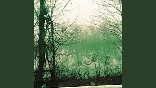 The Dawn