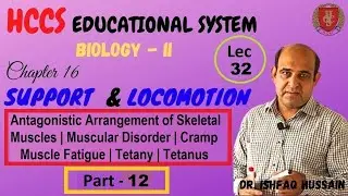 ANTAGONISTIC ARRANGEMENT OF SKELETAL MUSCLES | Ch#16 (Part 12) | BIO-II | Prof. ISHFAQ | LEC#32