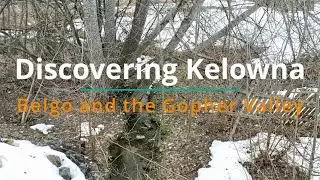 Discovering Kelowna Parks in the Belgo Area