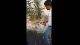 Sowing Sustainability: Beaconhouse Defence Campus Karachi Lead the Plantation Drive (2022-2024)