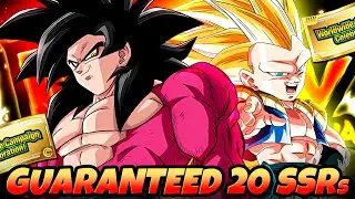 GUARANTEED 20 SSR MULTI SUMMONS w/ TICKETS!! Worldwide Celebration Special | DBZ Dokkan Battle