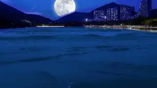 PEACEFUL BEACH ATMOSPHERE🌊😴 Gentle Ocean Sounds Soothing Waves For Meditation