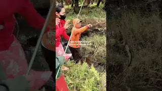 Ketika cewek Mancing ikan dirawa rawa #mancing #fishing